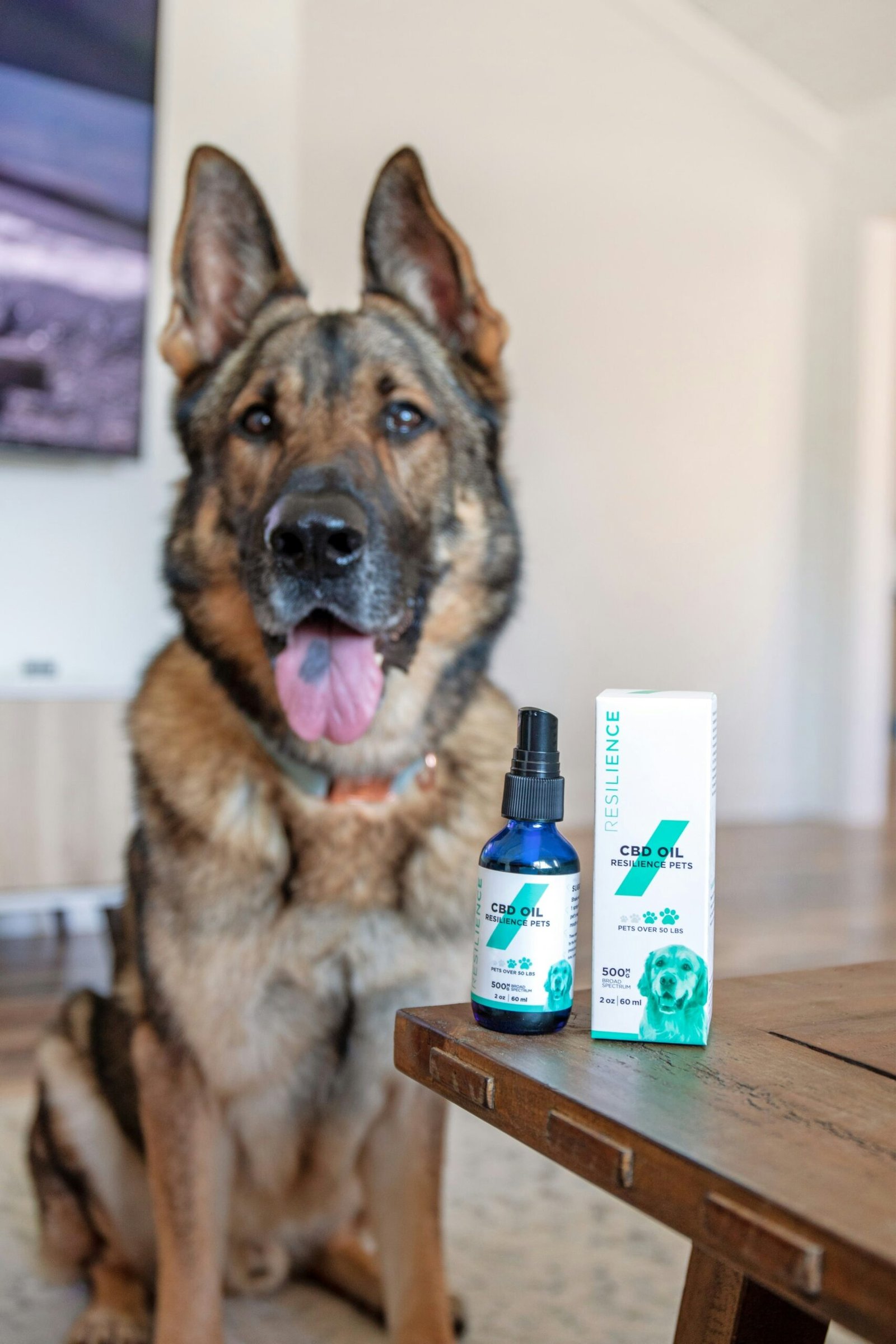 german shepherd puppy with blue and white bottle on mouth